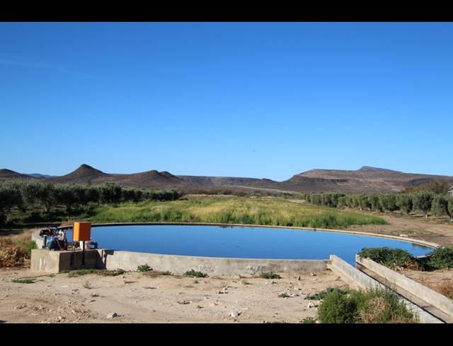 15HA FARM FOR SALE IN PRINCE ALBERT RURAL